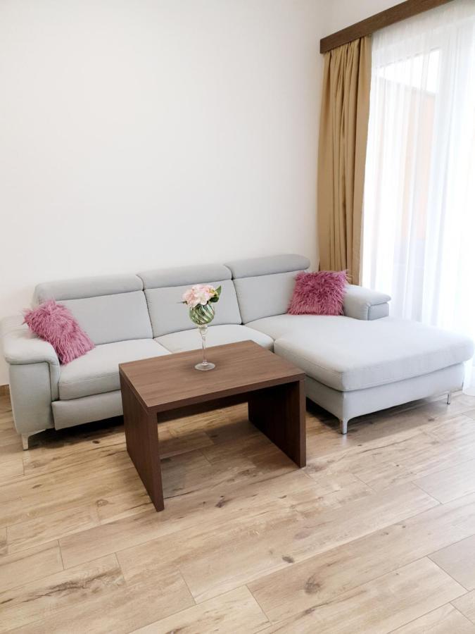 Cityapartment Monika Schladming Dış mekan fotoğraf
